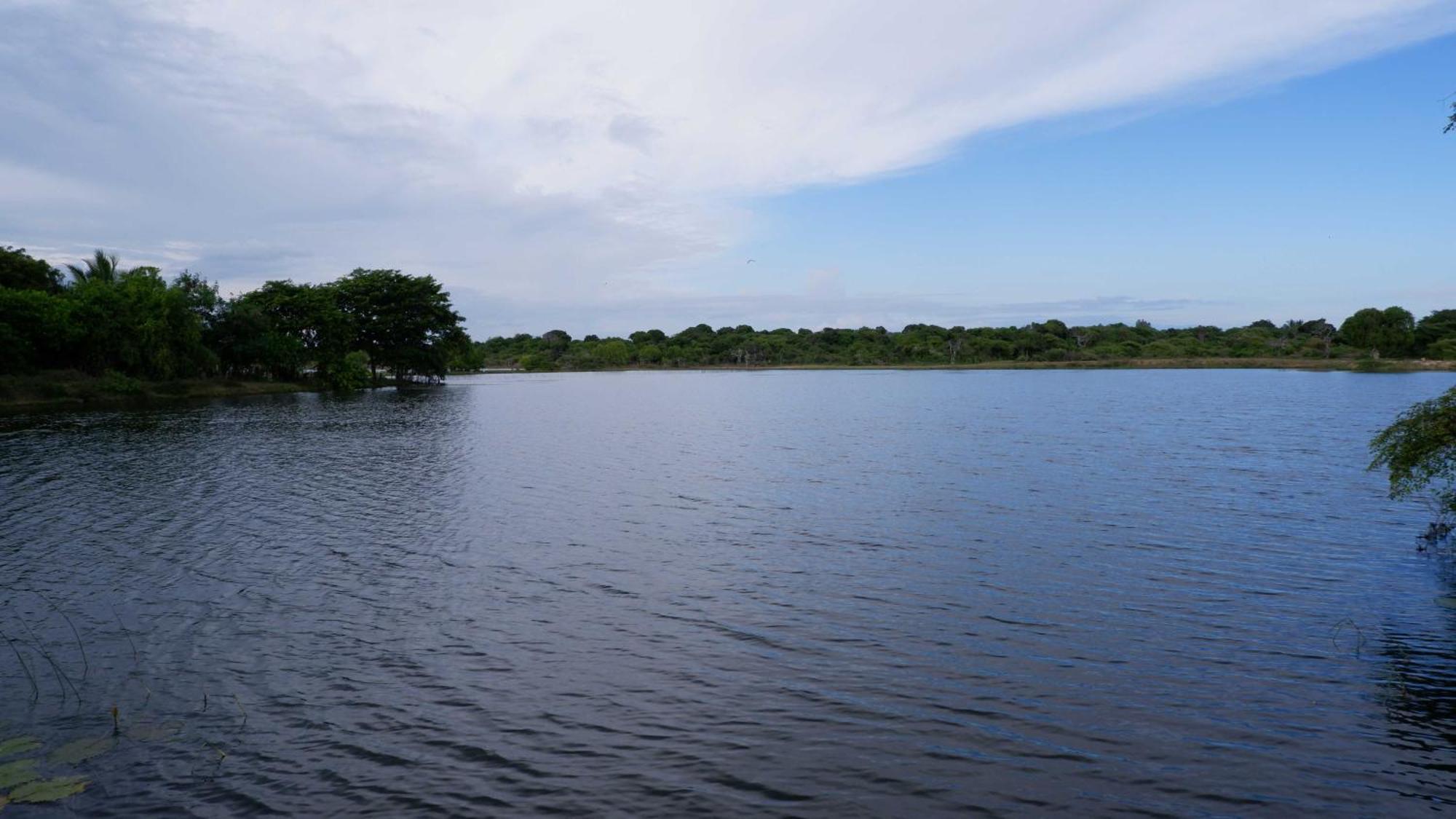 Attale Resort Tissamaharama Bagian luar foto