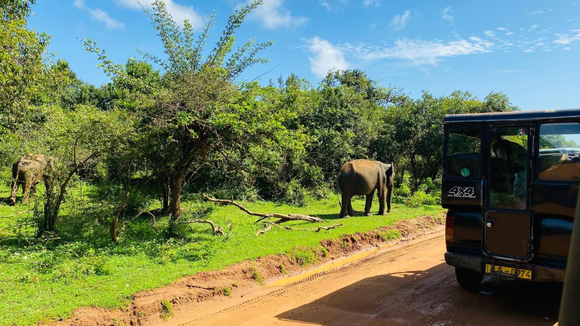 Attale Resort Tissamaharama Bagian luar foto