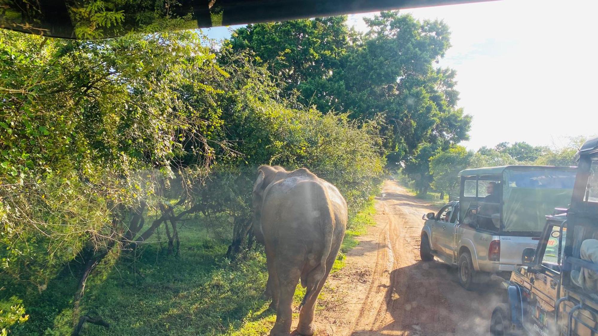 Attale Resort Tissamaharama Bagian luar foto